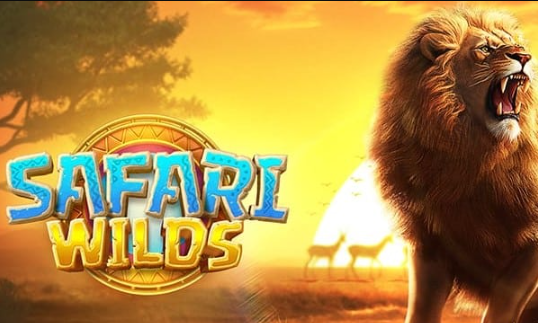 safari, wilds, pg, slots, jogos, apostas, cassinos 